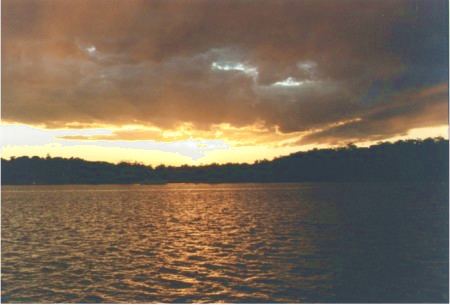 Picture:1