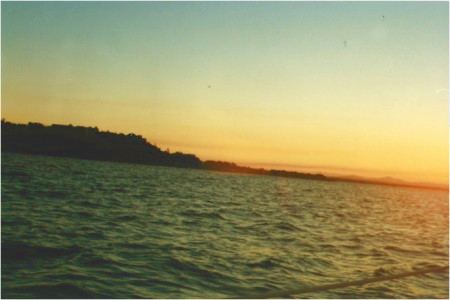 Picture:3