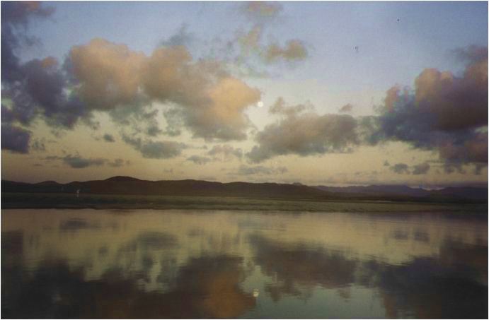 Picture:4