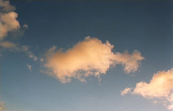 Picture:4