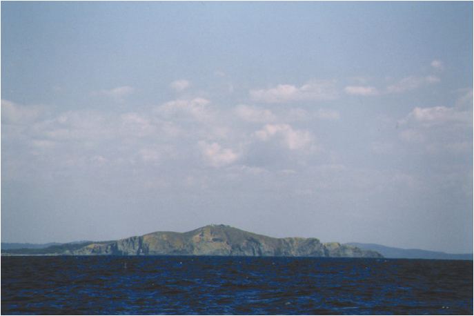 Picture:4