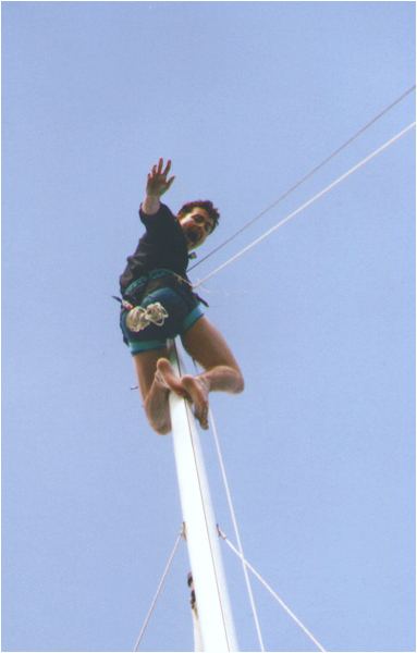 Picture:2